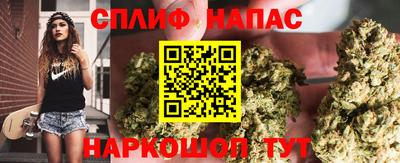 амф Ставрополь