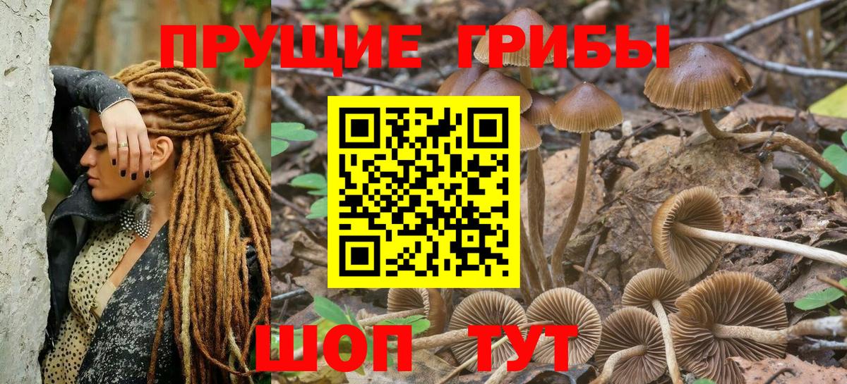 Галлюциногенные грибы Magic Shrooms  Вход с VPN  цена наркотик  Павловский Посад 